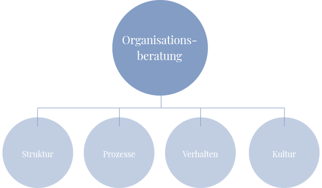 diagramm Organisationsberatung